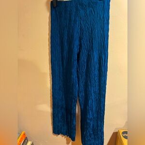 Zara Blue Pants